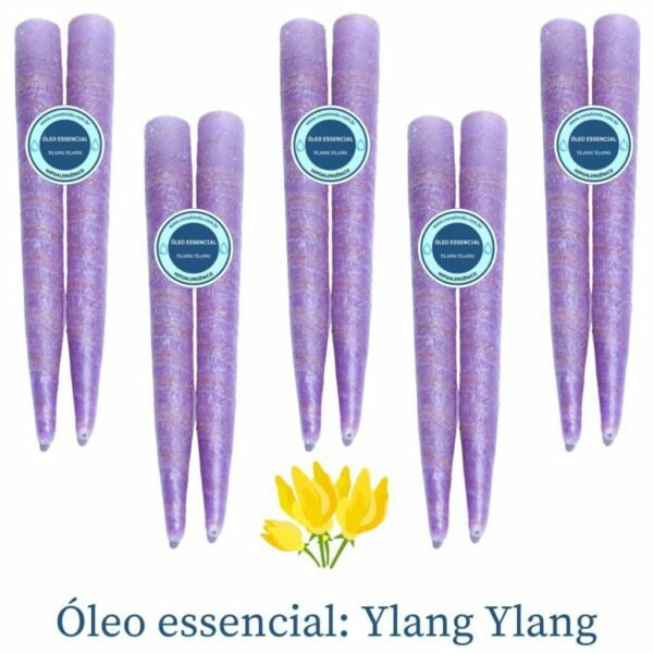10 Cones - Cone Hindu Especial com Óleo Essencial de Ylang Ylang
