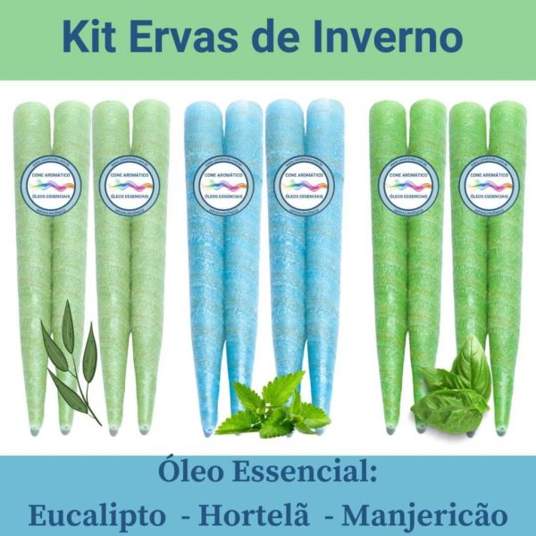 Kit Ervas de Inverno - 12 Cones (clique e veja como usar)