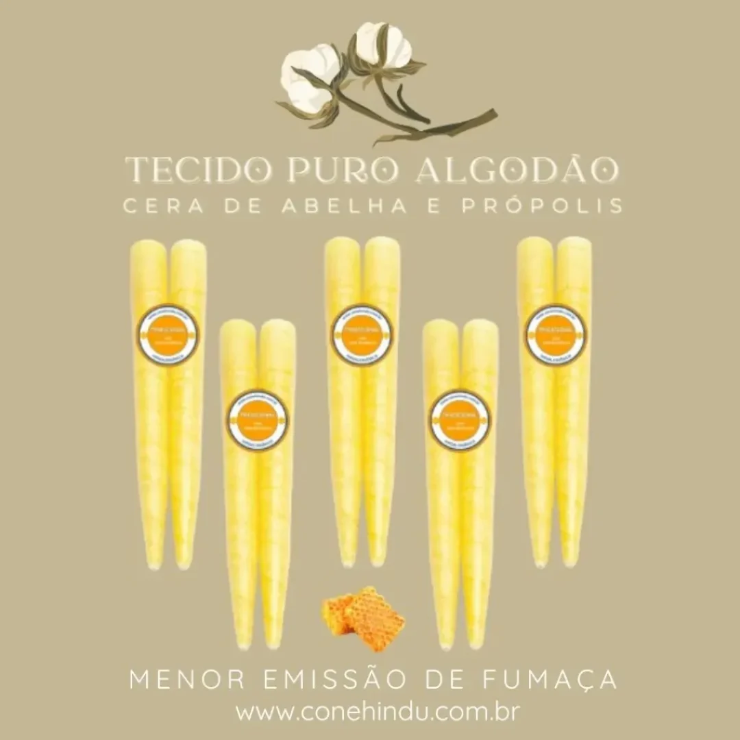 cone hindu luci fernandes